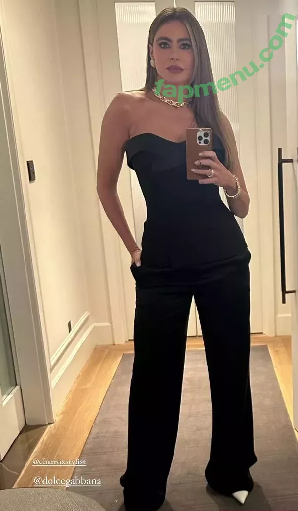 Sofia Vergara nude photo #1301 (sofiavergara)