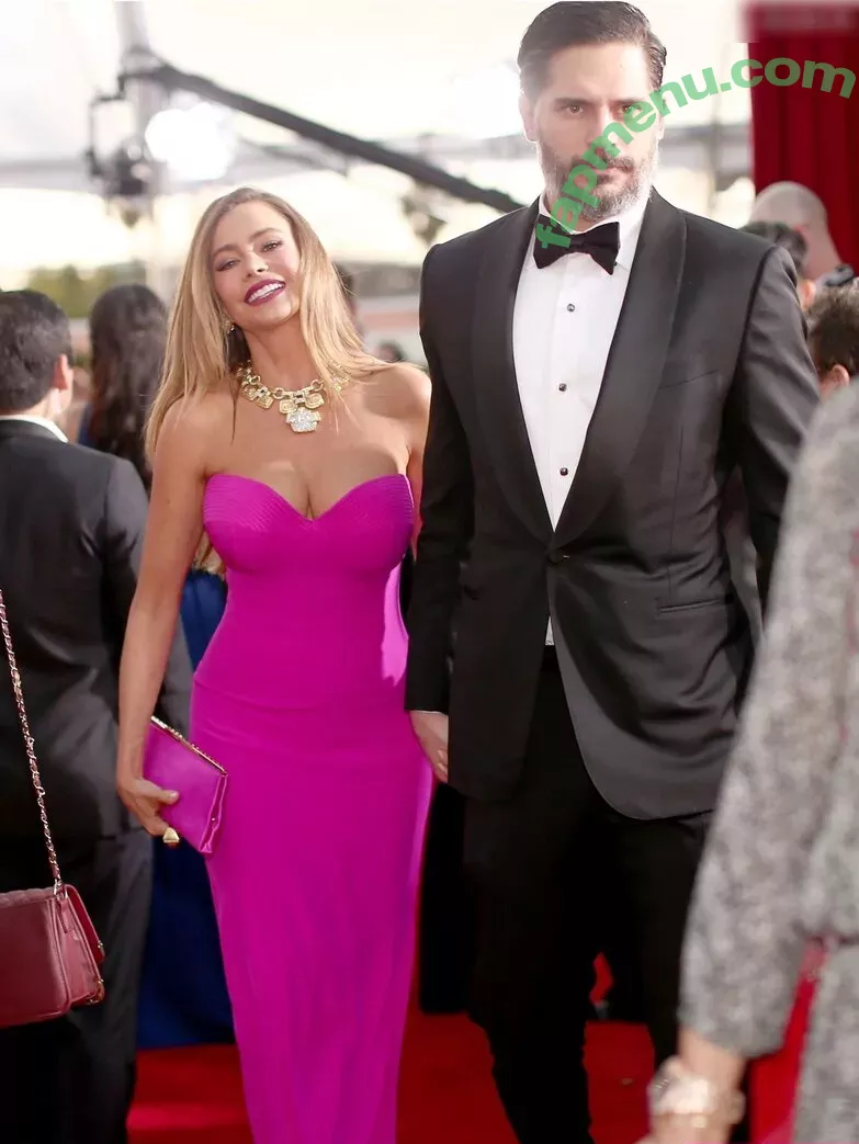 Sofia Vergara nude photo #1380 (sofiavergara)