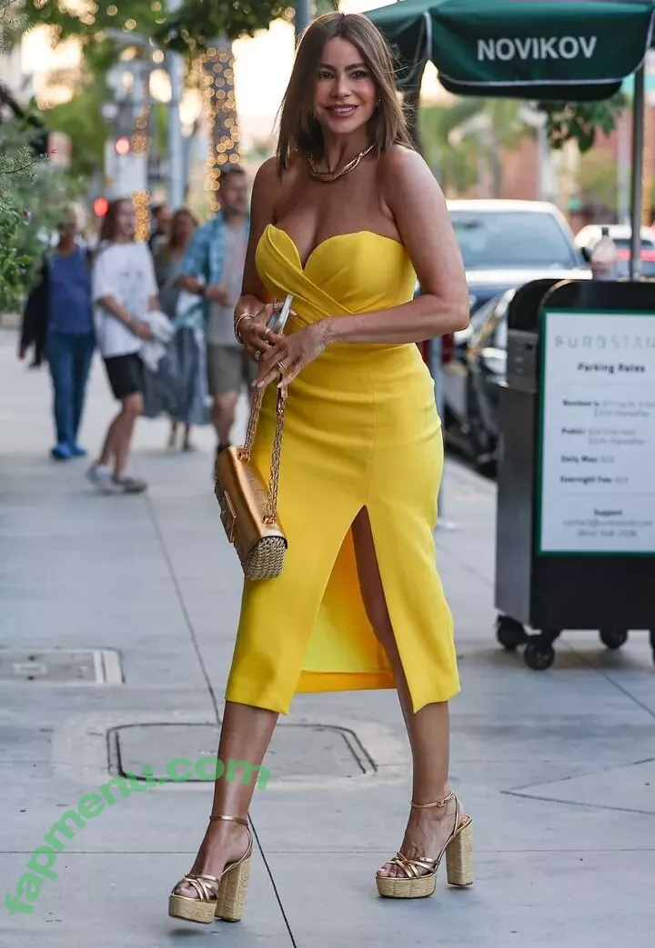 Sofia Vergara nude photo #1753 (sofiavergara)