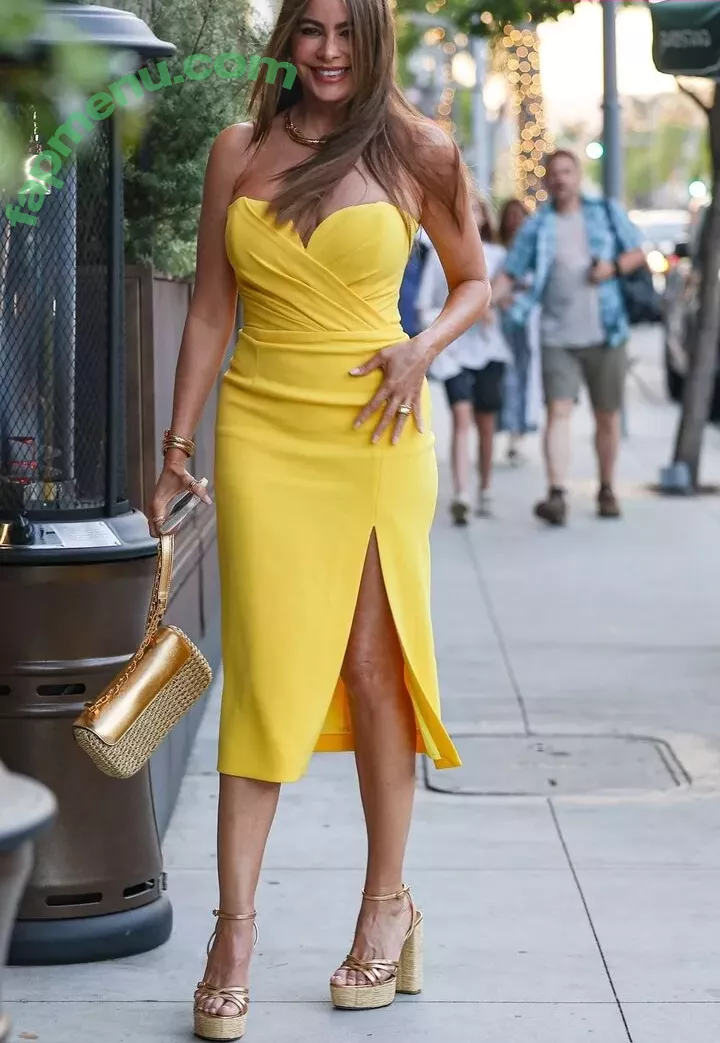 Sofia Vergara nude photo #1754 (sofiavergara)