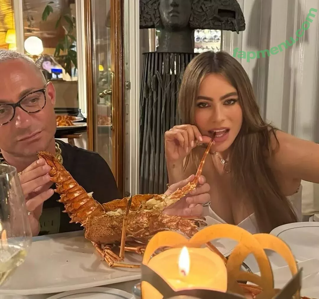 Sofia Vergara nude photo #1814 (sofiavergara)