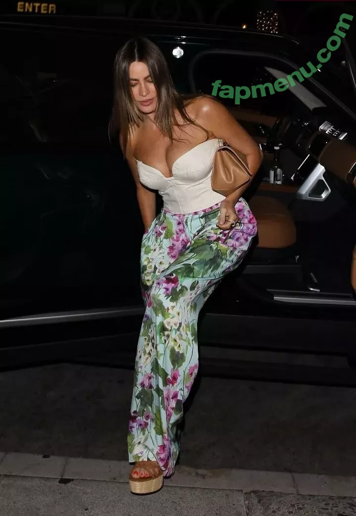 Sofia Vergara nude photo #1843 (sofiavergara)