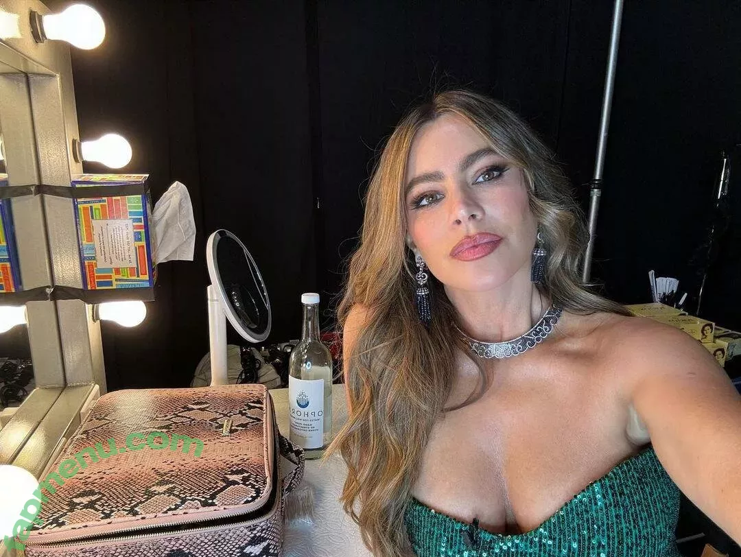 Sofia Vergara nude photo #1937 (sofiavergara)