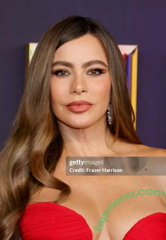 Sofia Vergara nude photo #1972 (sofiavergara)