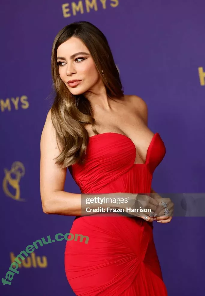 Sofia Vergara nude photo #1978 (sofiavergara)