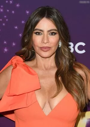 Sofia Vergara / sofiavergara nude photo #2014