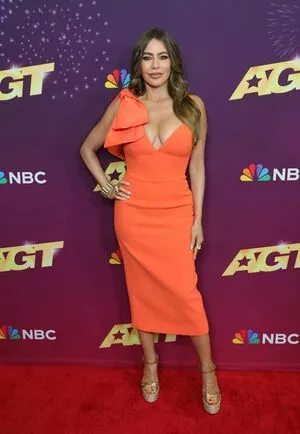 Sofia Vergara / sofiavergara nude photo #2026