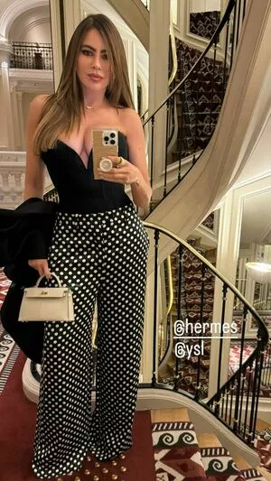 Sofia Vergara / sofiavergara nude photo #2096