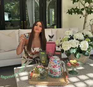 Sofia Vergara / sofiavergara / vergarasofia nude photo #2805