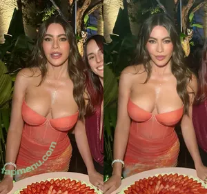 Sofia Vergara / sofiavergara / vergarasofia nude photo #2931