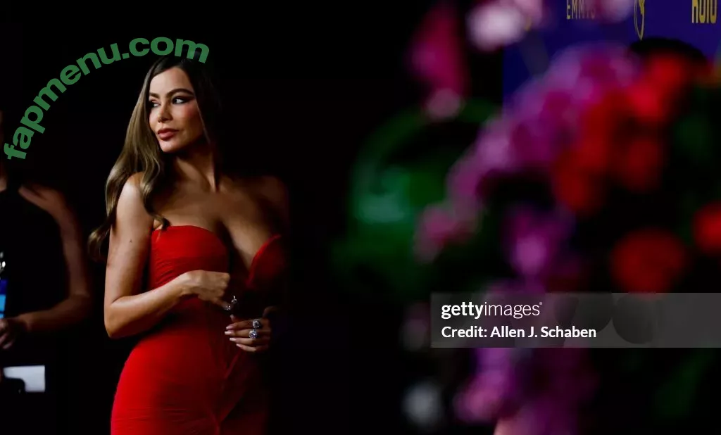 Sofia Vergara nude photo #2007 (sofiavergara)