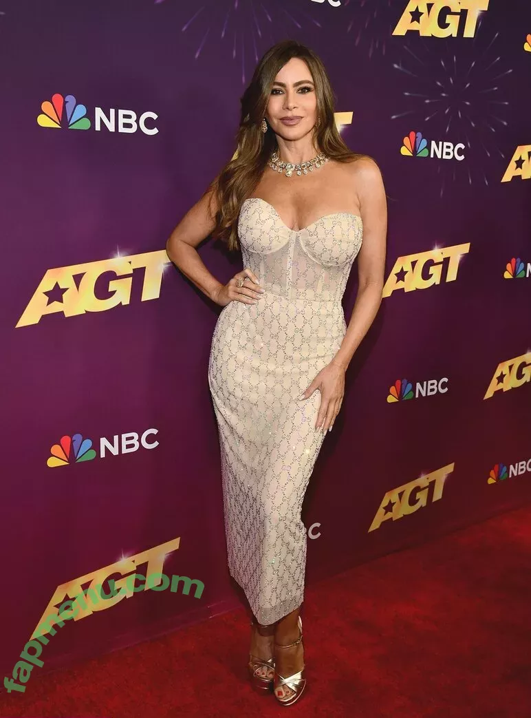 Sofia Vergara nude photo #2035 (sofiavergara)