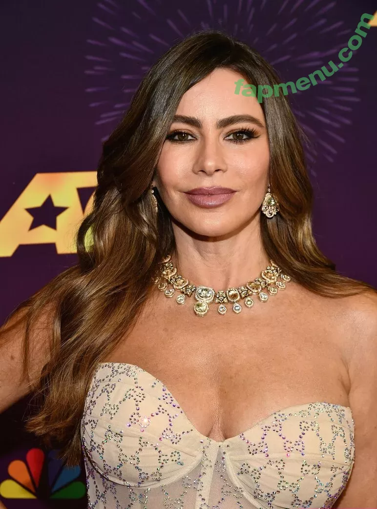 Sofia Vergara nude photo #2038 (sofiavergara)