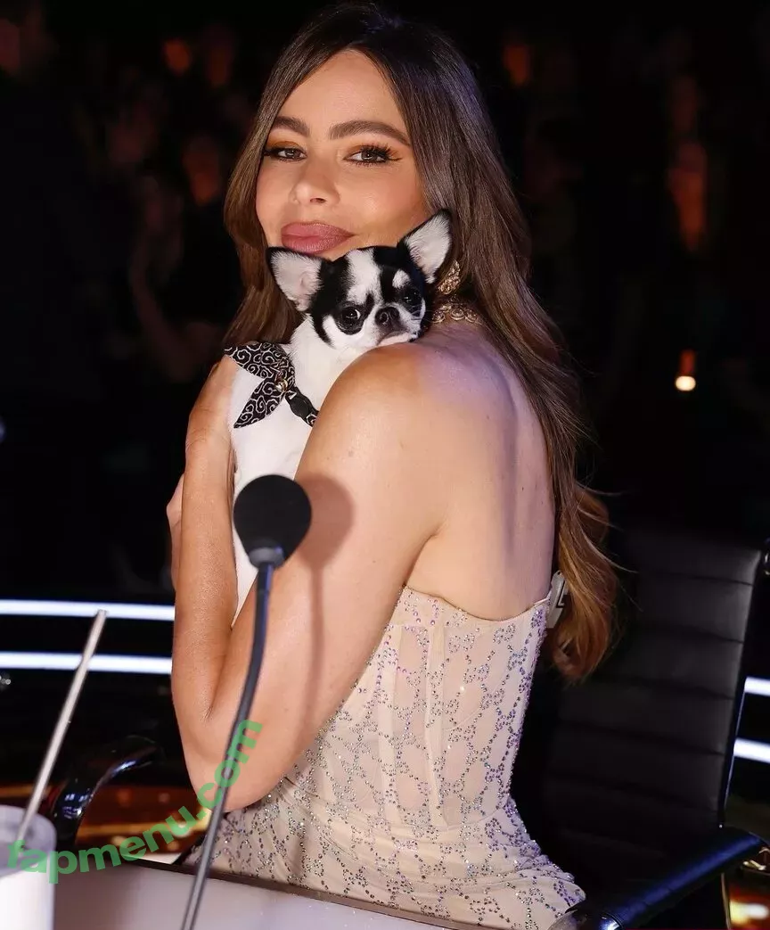 Sofia Vergara nude photo #2065 (sofiavergara)