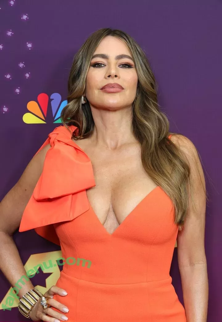 Sofia Vergara nude photo #2112 (sofiavergara)