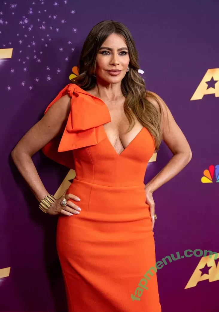 Sofia Vergara nude photo #2123 (sofiavergara)