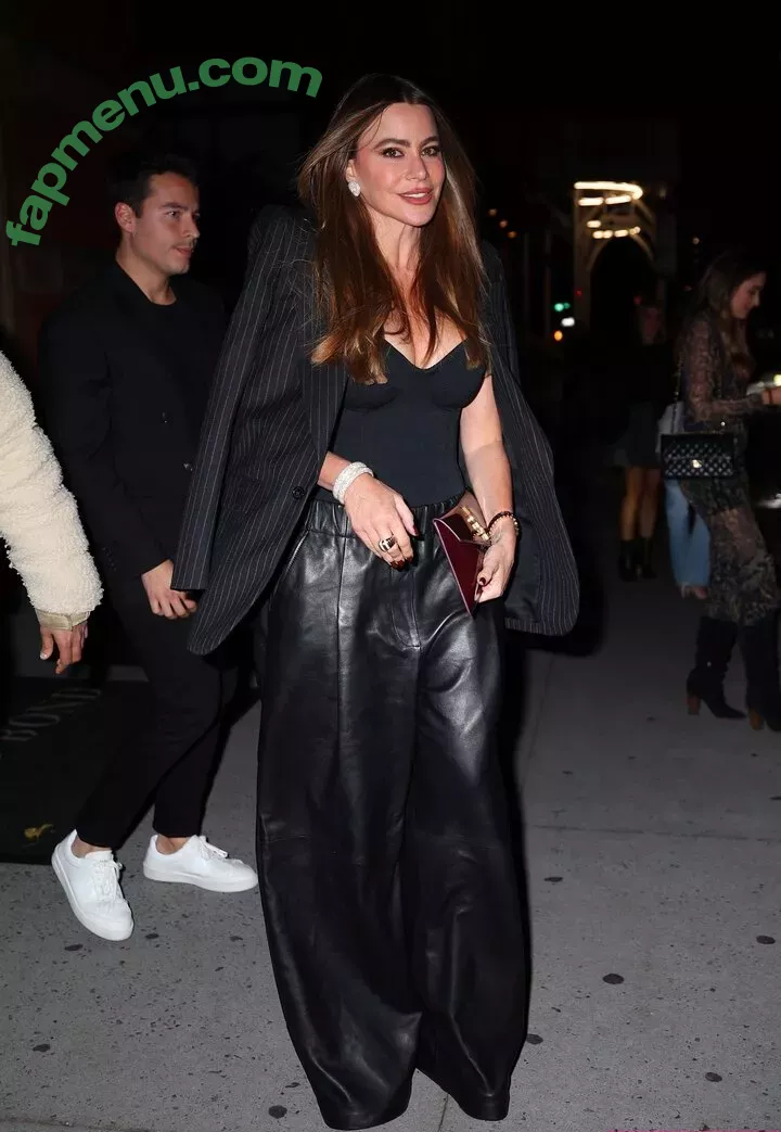 Sofia Vergara nude photo #2170 (sofia_vergara / sofiavergara)