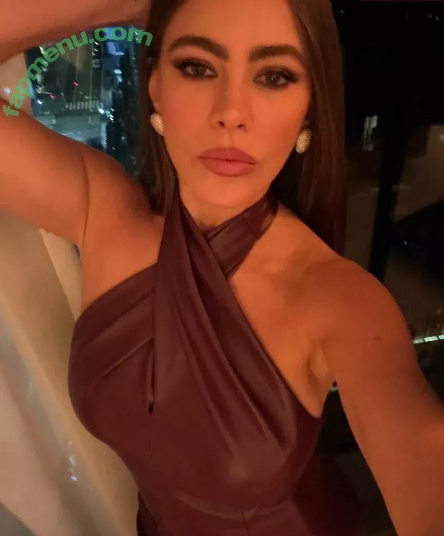 Sofia Vergara nude photo #2173 (sofiavergara)