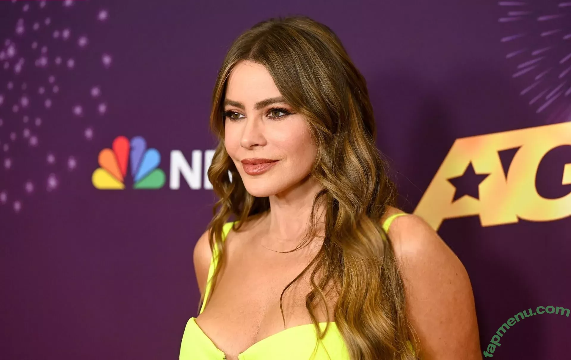 Sofia Vergara nude photo #2183 (sofiavergara)