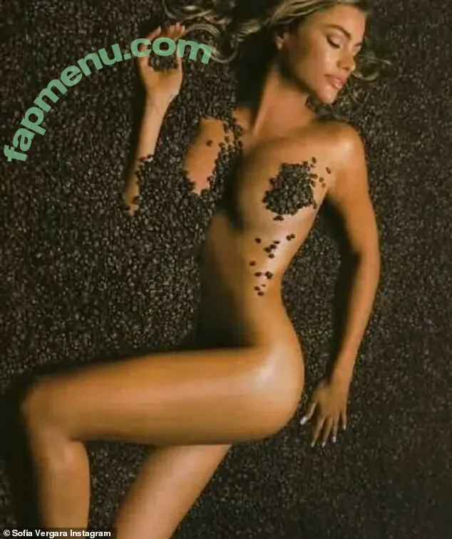 Sofia Vergara nude photo #2597 (sofiavergara / vergarasofia)