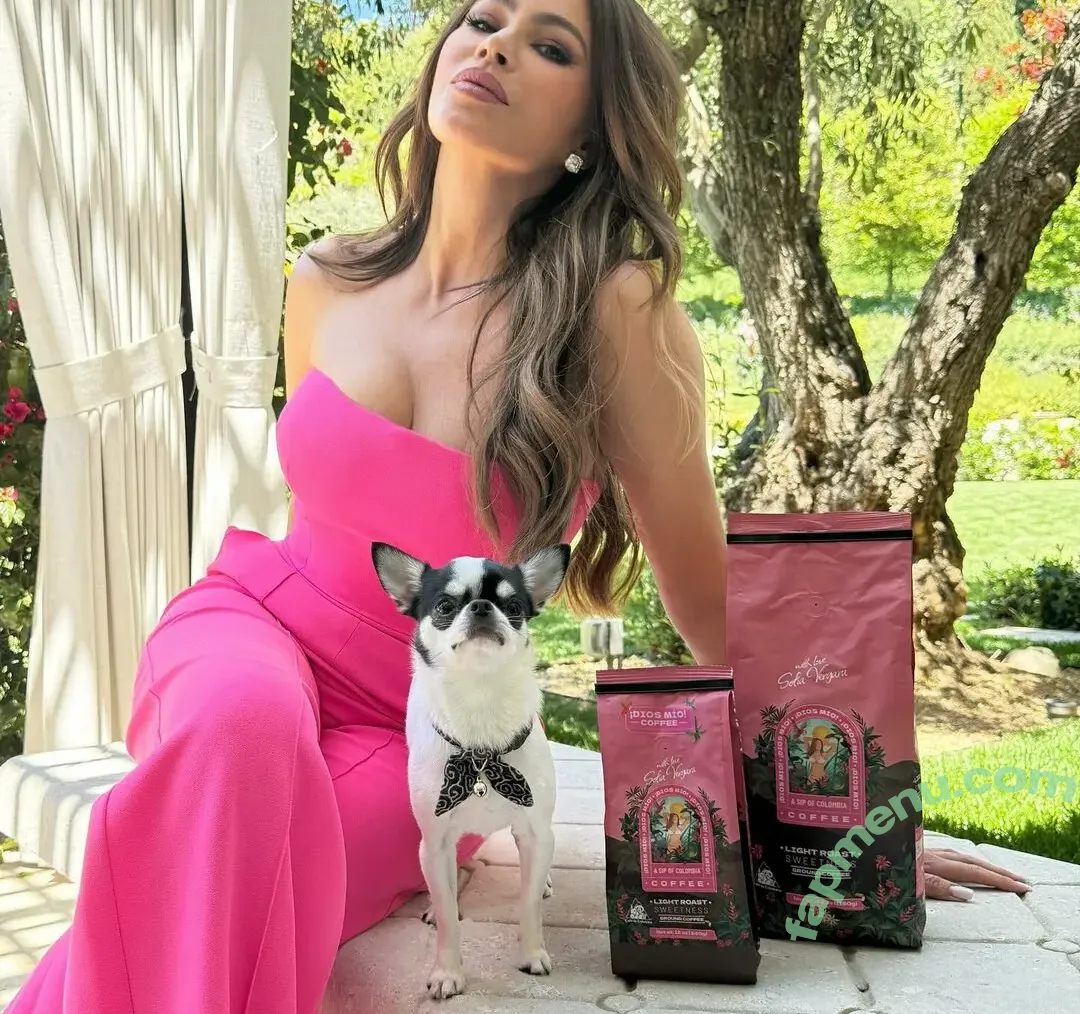 Sofia Vergara nude photo #2619 (sofiavergara / vergarasofia)