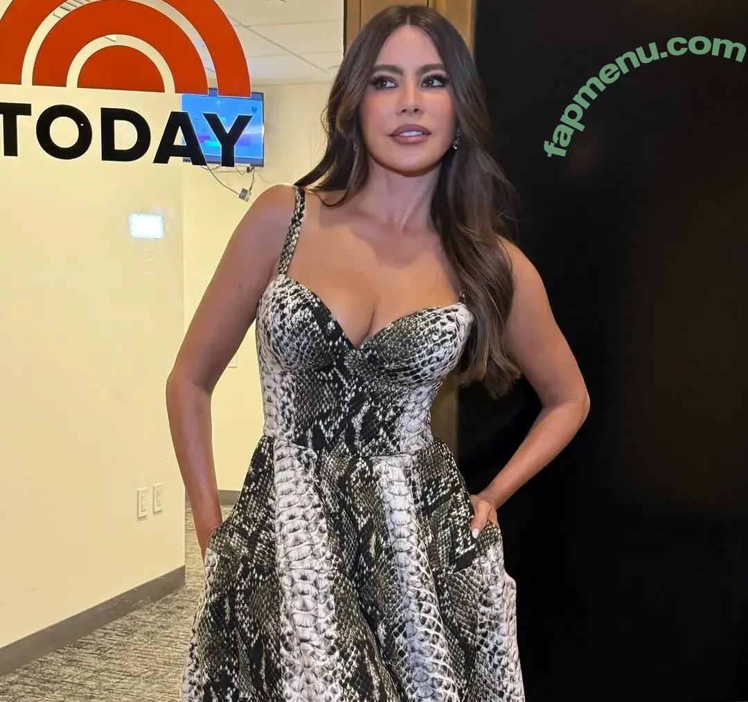 Sofia Vergara nude photo #2622 (sofiavergara / vergarasofia)