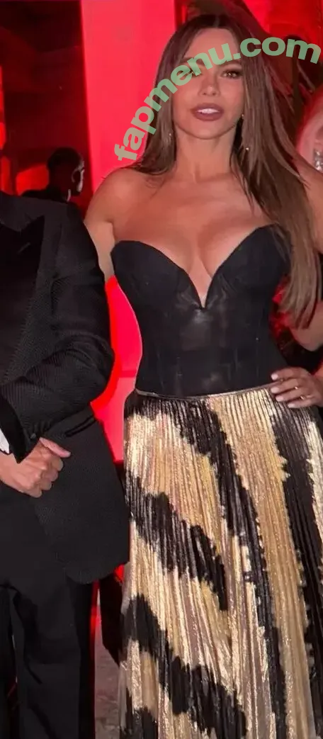 Sofia Vergara nude photo #2658 (sofiavergara / vergarasofia)