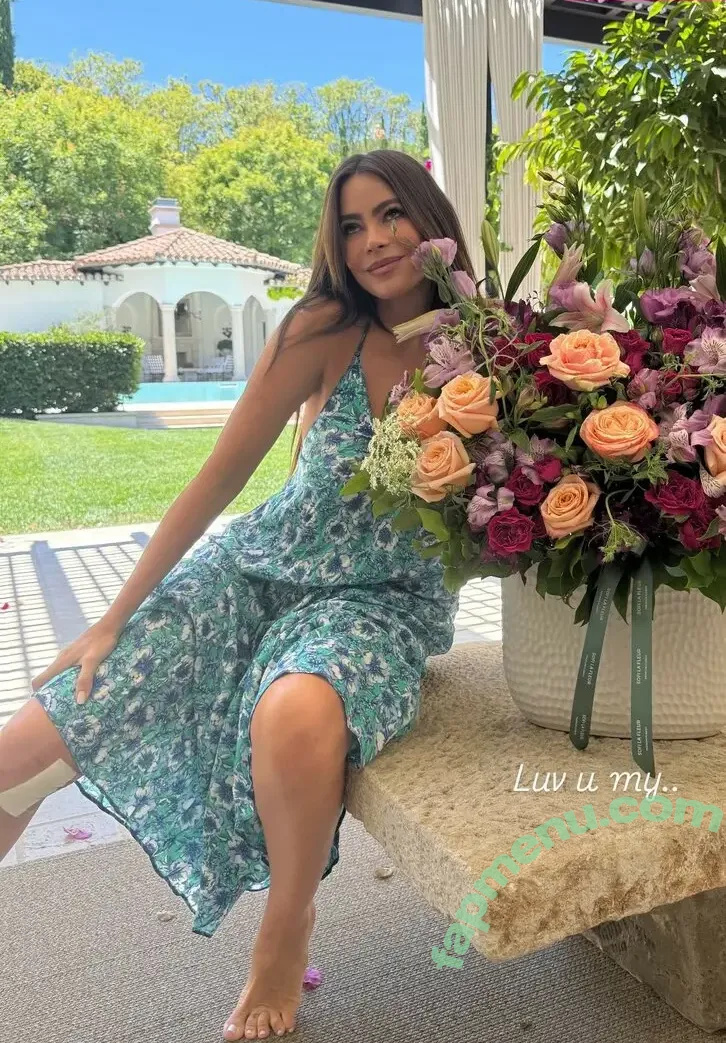 Sofia Vergara nude photo #2775 (sofiavergara / vergarasofia)