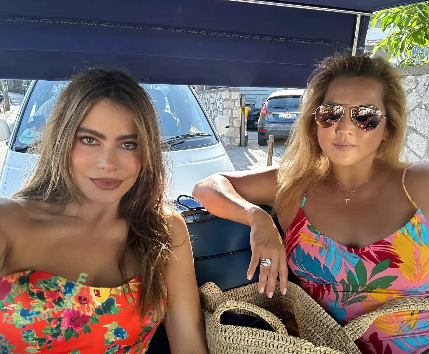 Sofia Vergara nude photo #2785 (sofiavergara / vergarasofia)