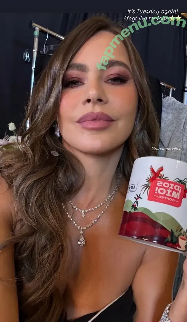 Sofia Vergara nude photo #2799 (sofiavergara / vergarasofia)