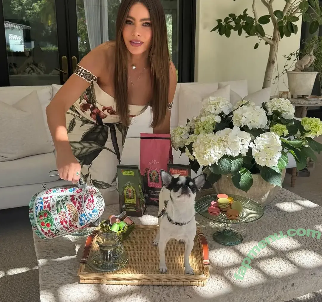 Sofia Vergara nude photo #2806 (sofiavergara / vergarasofia)