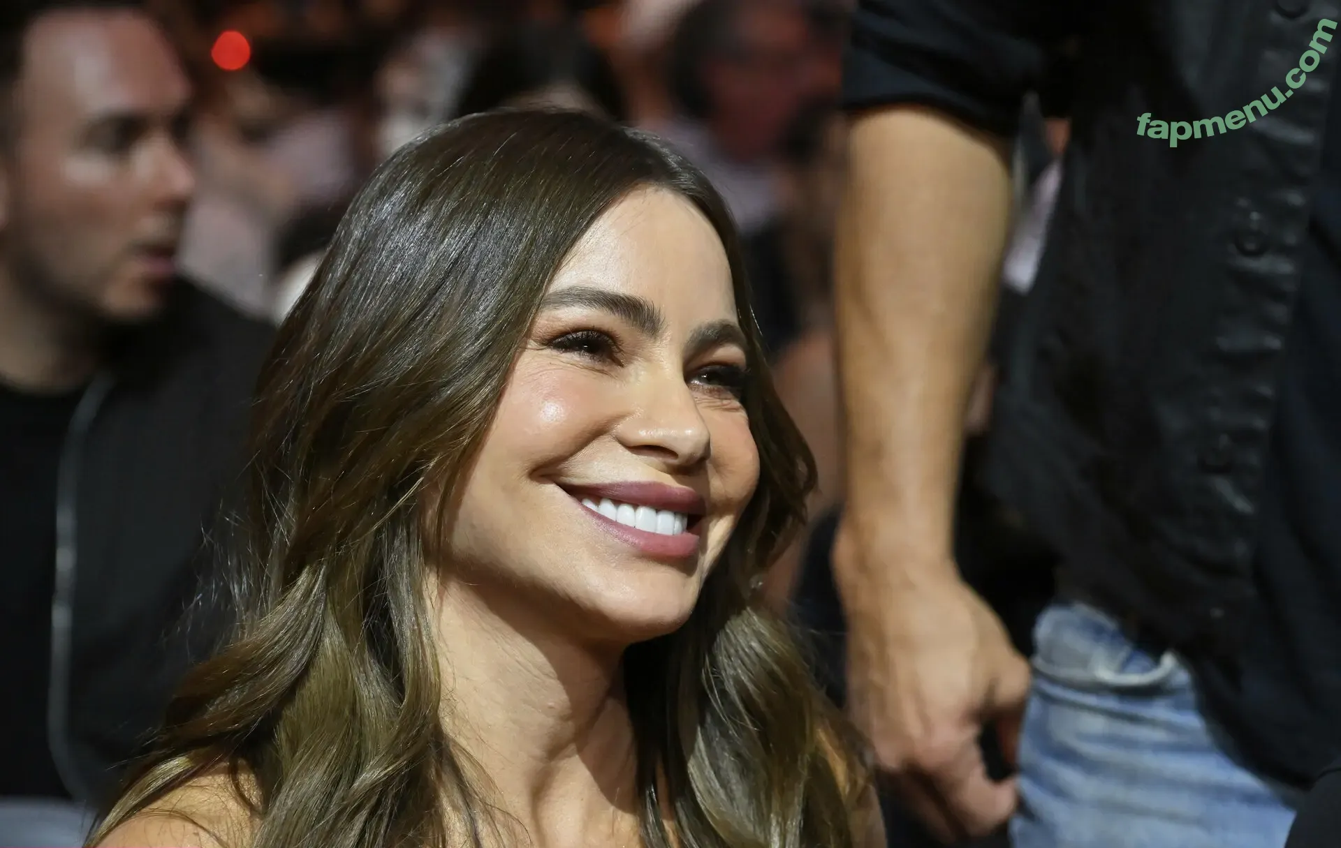 Sofia Vergara nude photo #2826 (sofiavergara / vergarasofia)