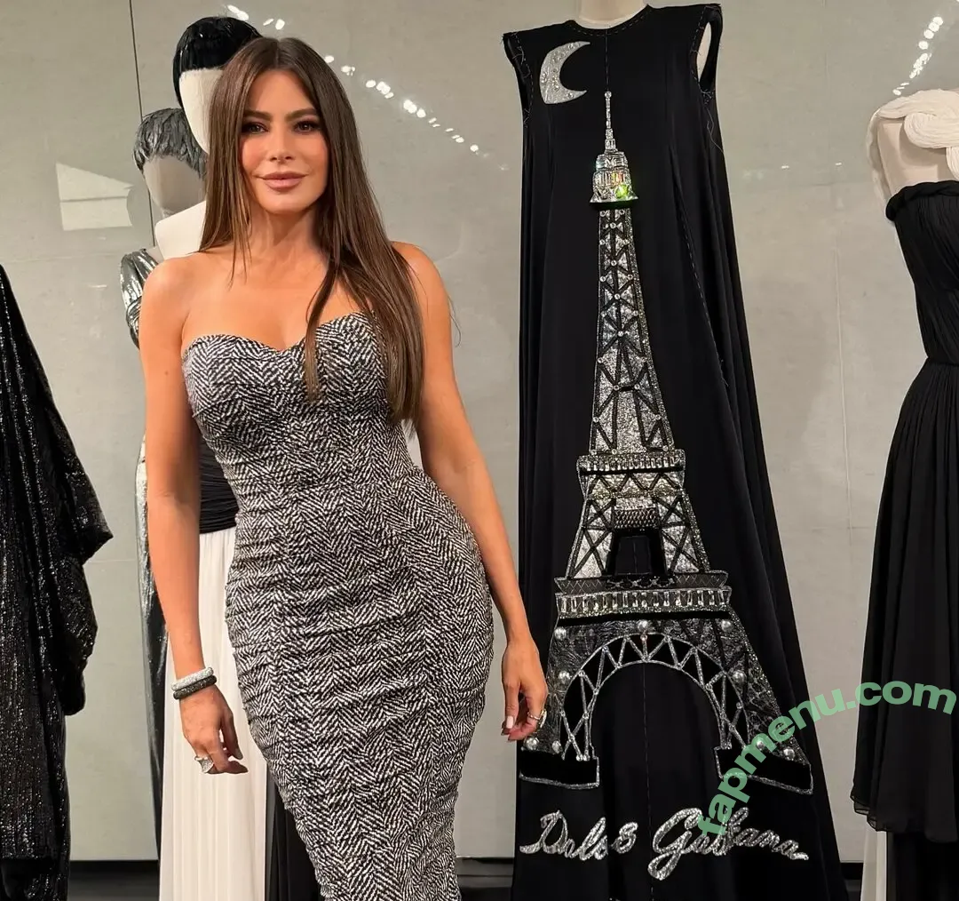 Sofia Vergara nude photo #2849 (sofiavergara / vergarasofia)