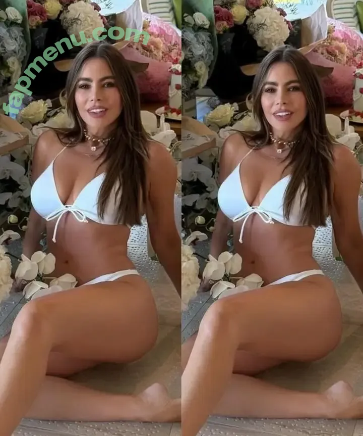 Sofia Vergara nude photo #2874 (sofiavergara / vergarasofia)