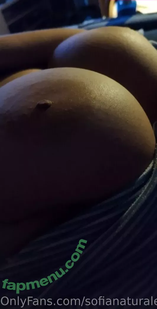 sofianaturales nude photo #0061 (SofiaNaturalesOnly)