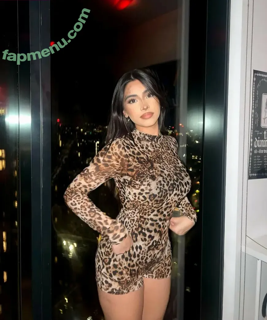 sofiashahedd nude photo #0017 (sofiaafpx)