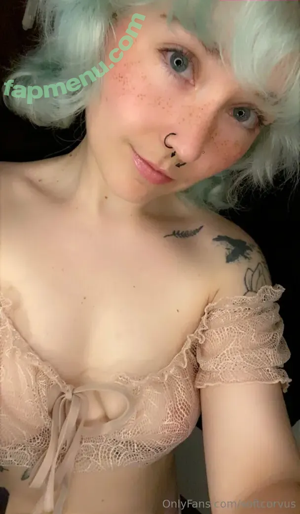 softcorvus nude photo #0001 (softcorvus)