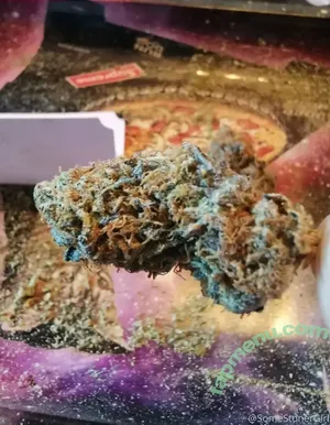somestonergirl / somestonerchicks nude photo #0002