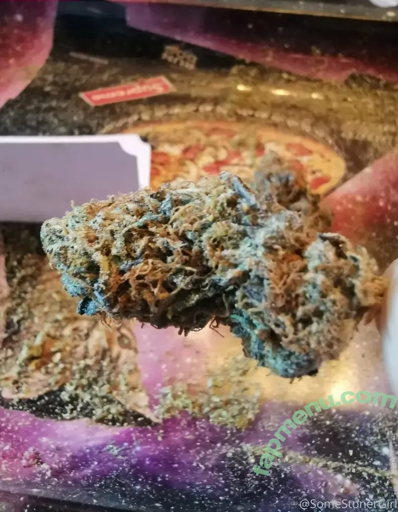 somestonergirl nude photo #0002 (somestonerchicks)