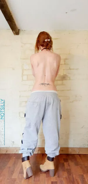 Somethingnotsilly / libnmtc / snsilly / somethingnotstupid nude photo #0043