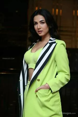 Sonal Chauhan / sonalchauhan nude photo #0023