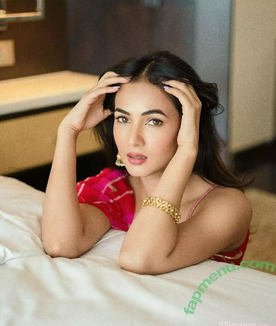 Sonal Chauhan nude photo #0006 (sonalchauhan)