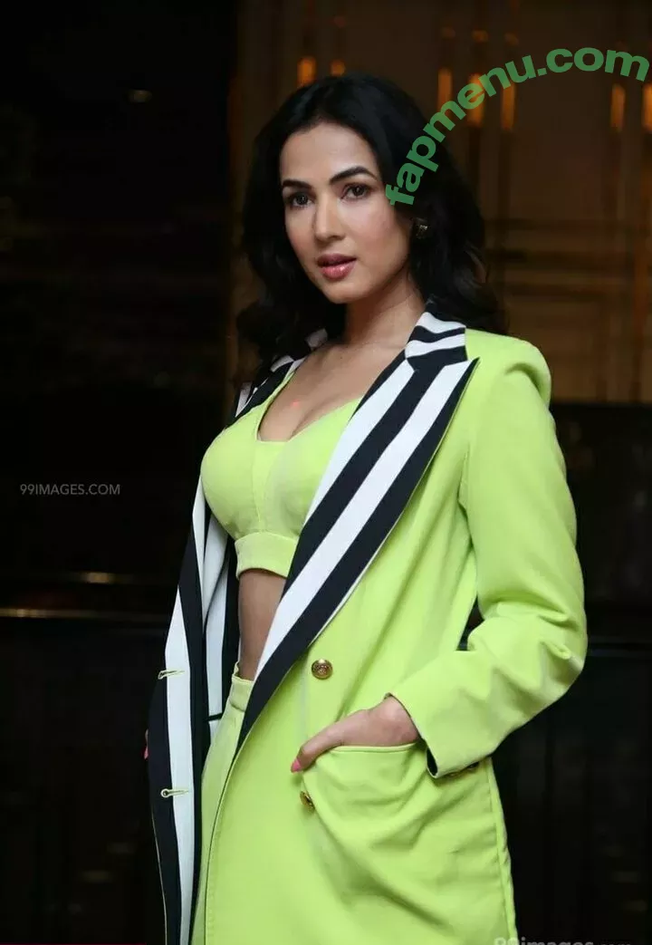 Sonal Chauhan nude photo #0023 (sonalchauhan)