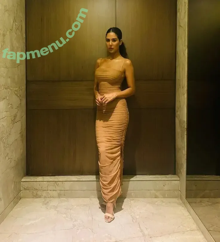 Sonam Bajwa nude photo #0005 (Sonam Bajwa)