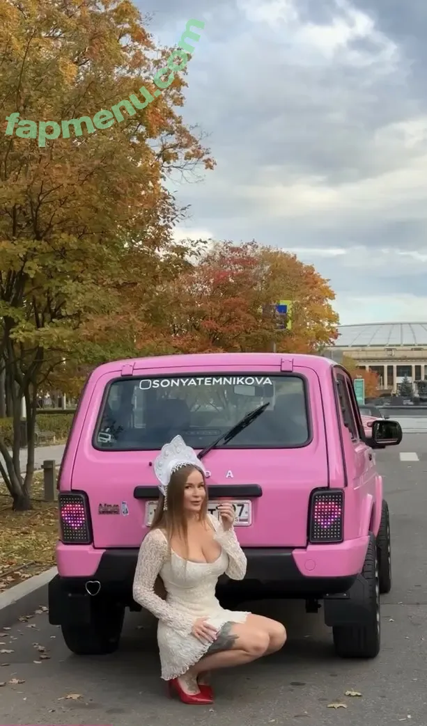 Sonya Temnikova nude photo #1254 (sonyatemnikova)