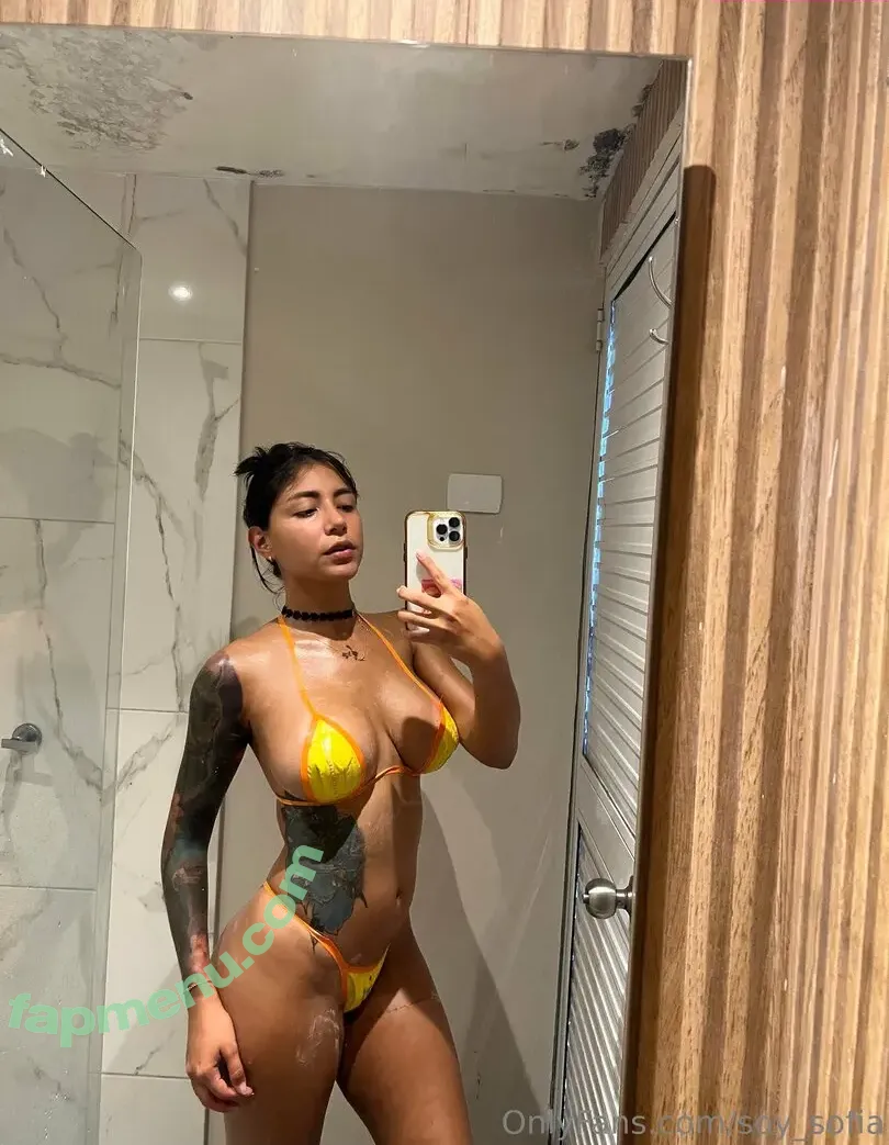 Soy_Sofia nude photo #0551 (soy_sophia / soysofia_2)