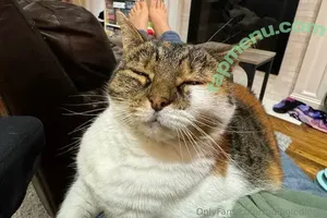 squiggledingle / thesquigglewiggle nude photo #0058