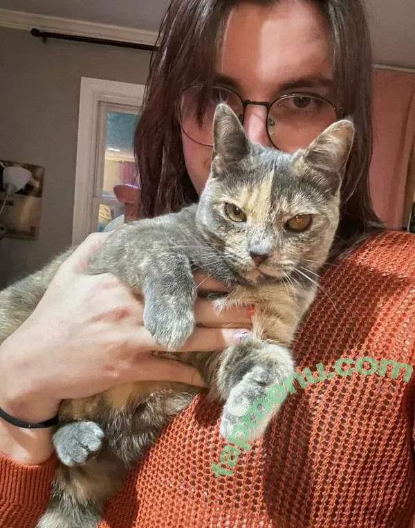 squiggledingle nude photo #0053 (thesquigglewiggle)