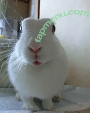 sren244 / ShiRen244 / sr_24n nude photo #1075