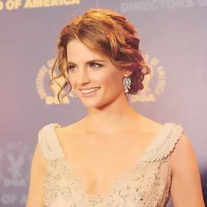 Stana Katic / drstanakatic nude photo #0107